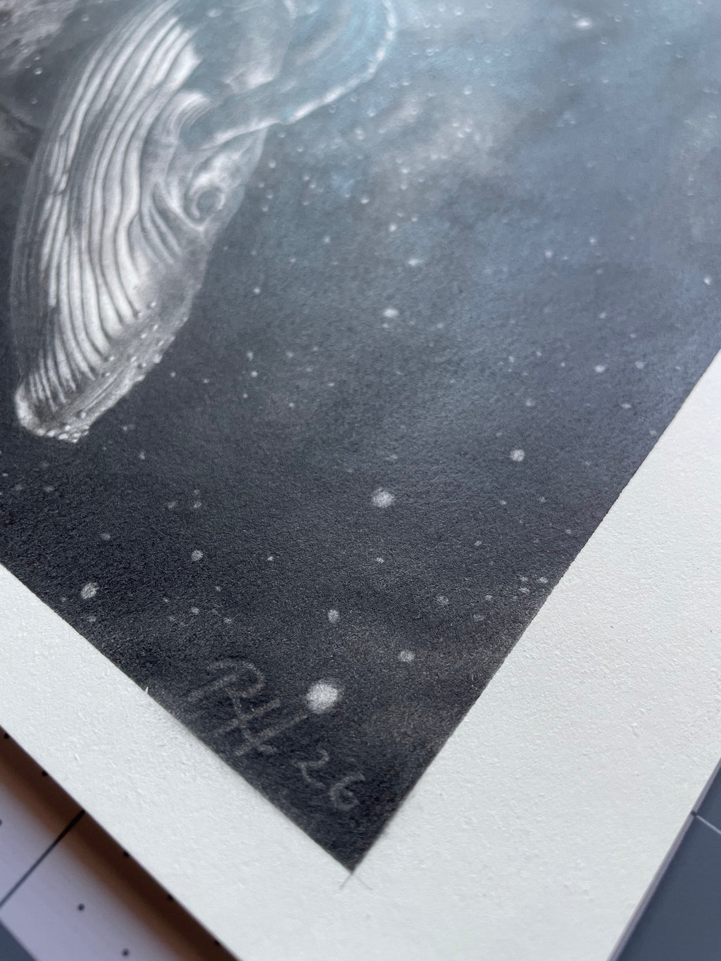 Close-up of a whale illustration on textured paper with a signature.