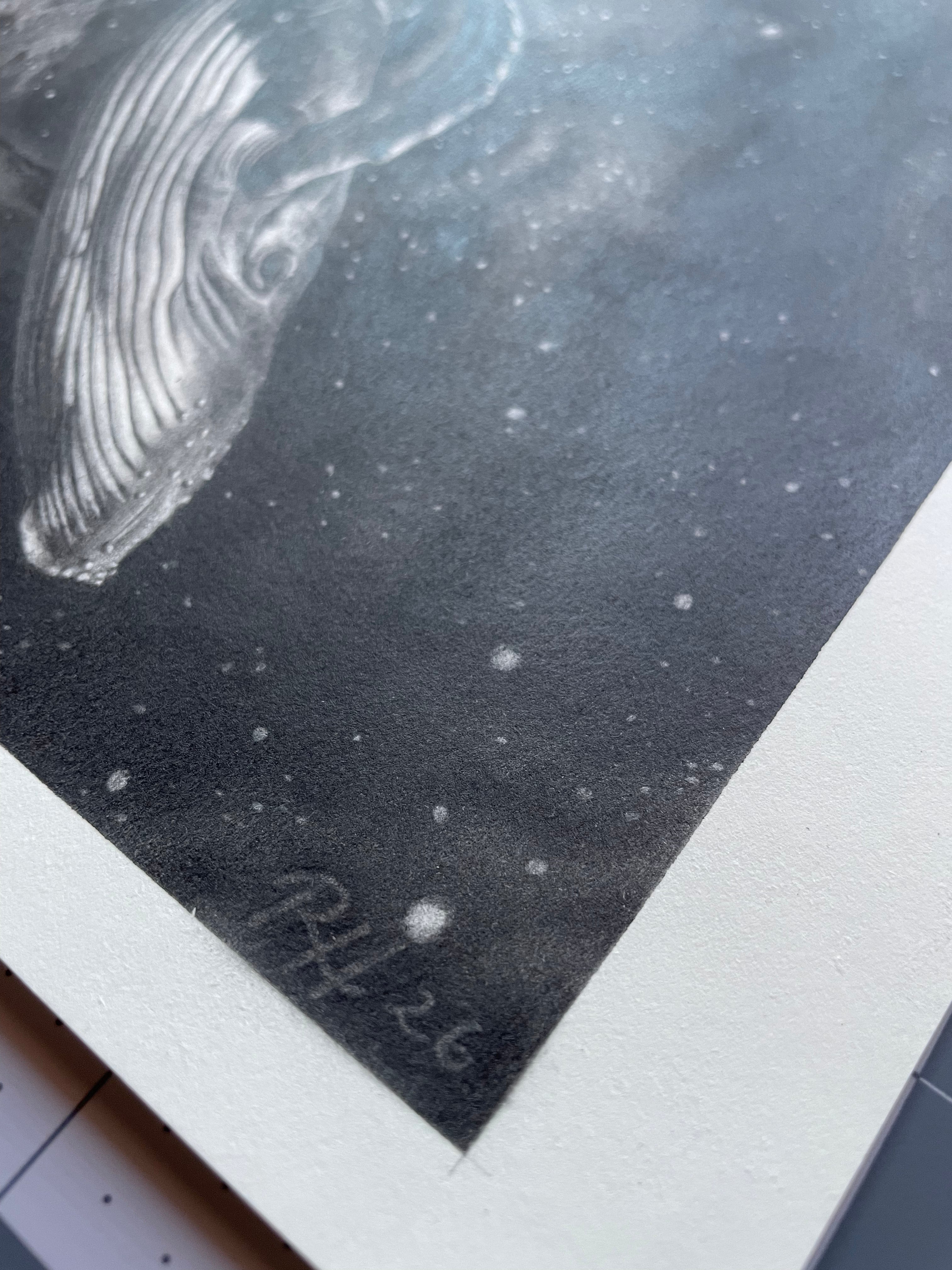 Close-up of a whale illustration on textured paper with a signature.