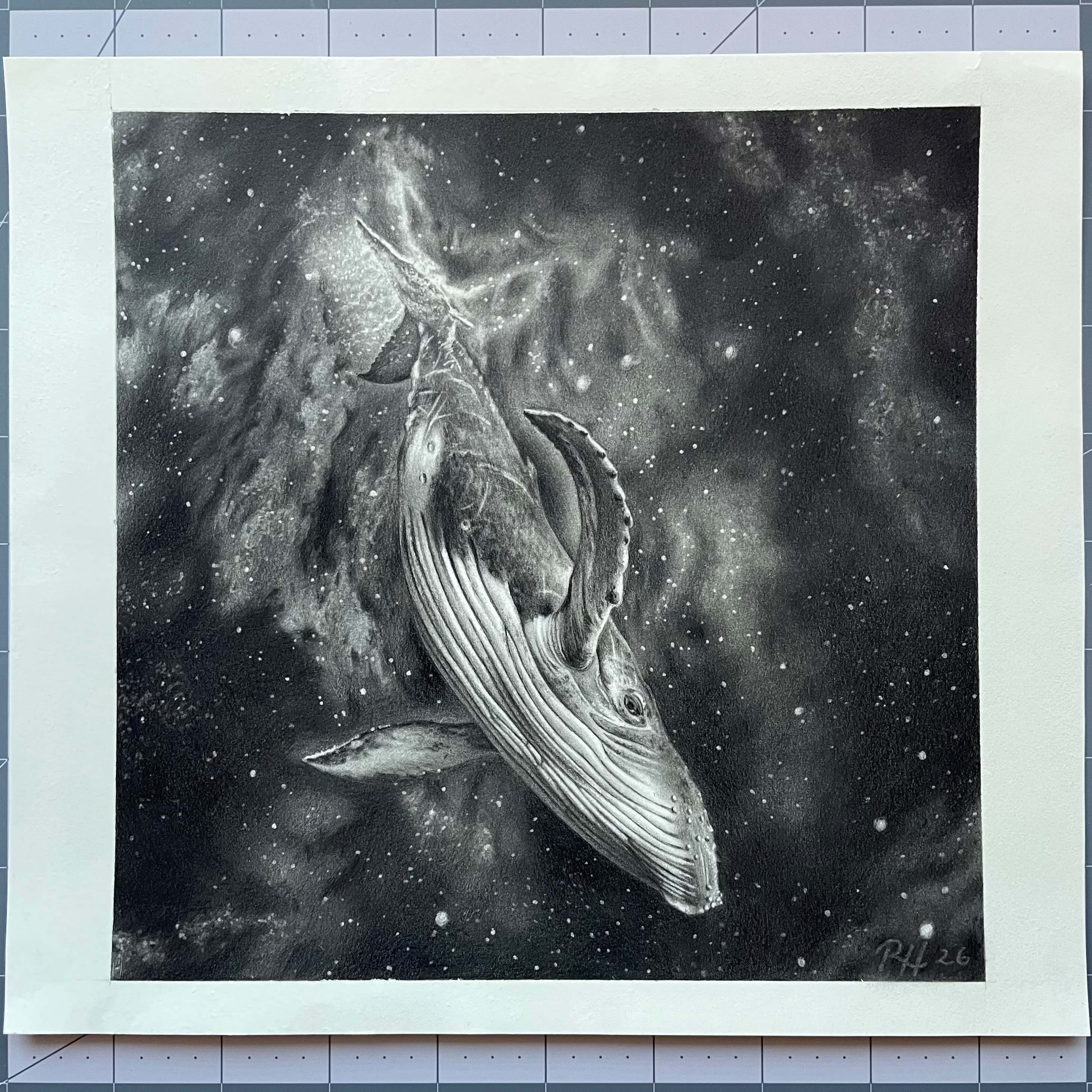 Black and white drawing of a humpback whale in space  